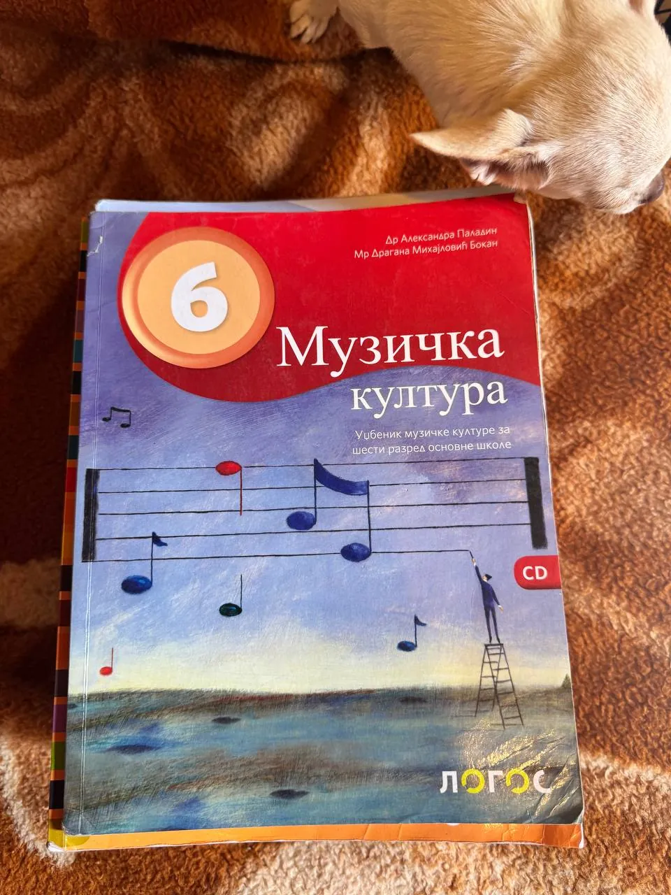 Миниатюра 2