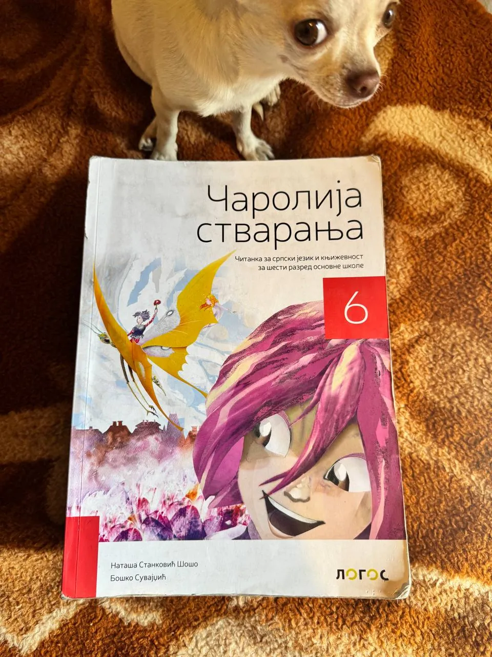 Миниатюра 7