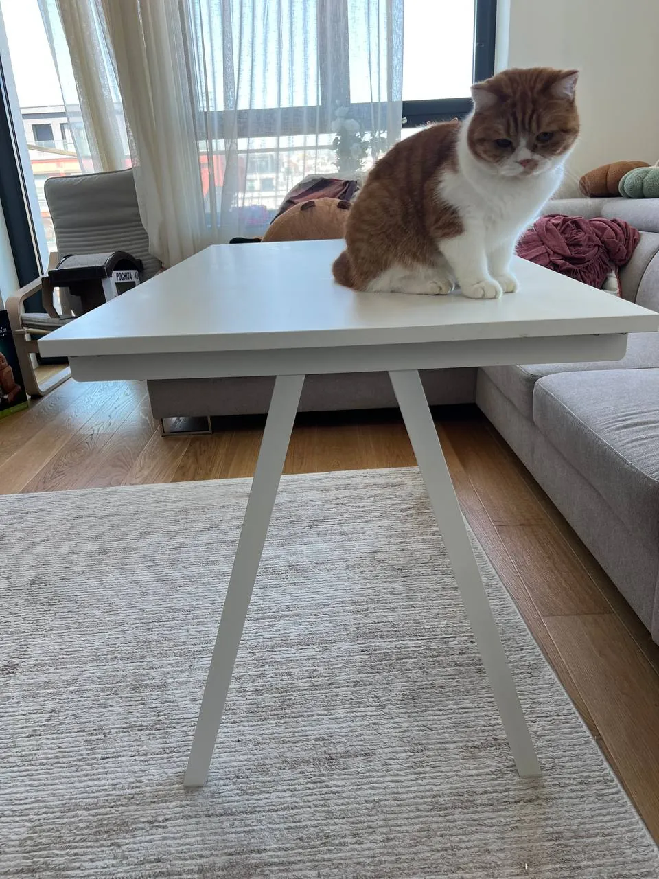 Письменный стол IKEA с регулируемой высотой 1
