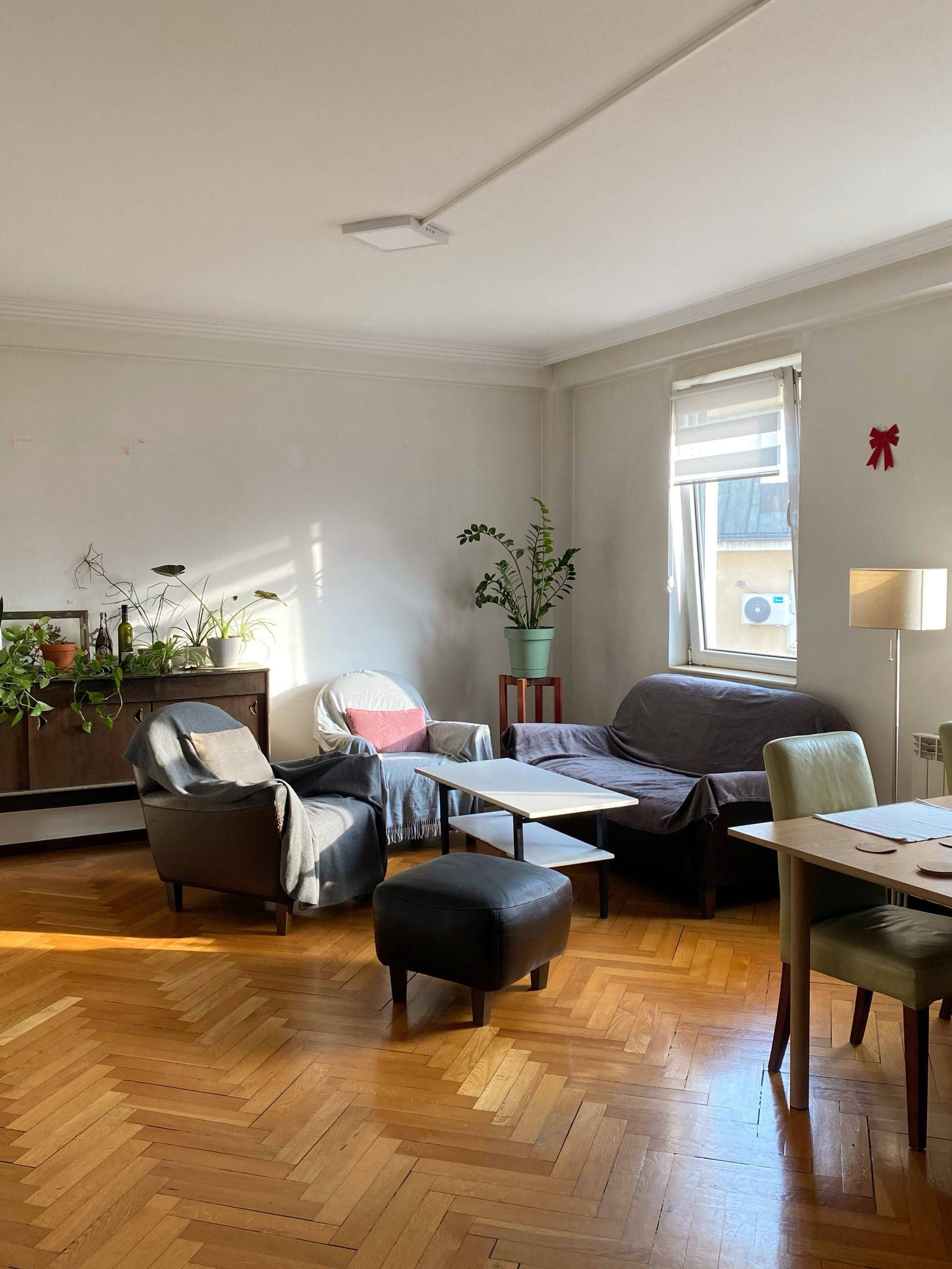 Комната в районе Врачар 4