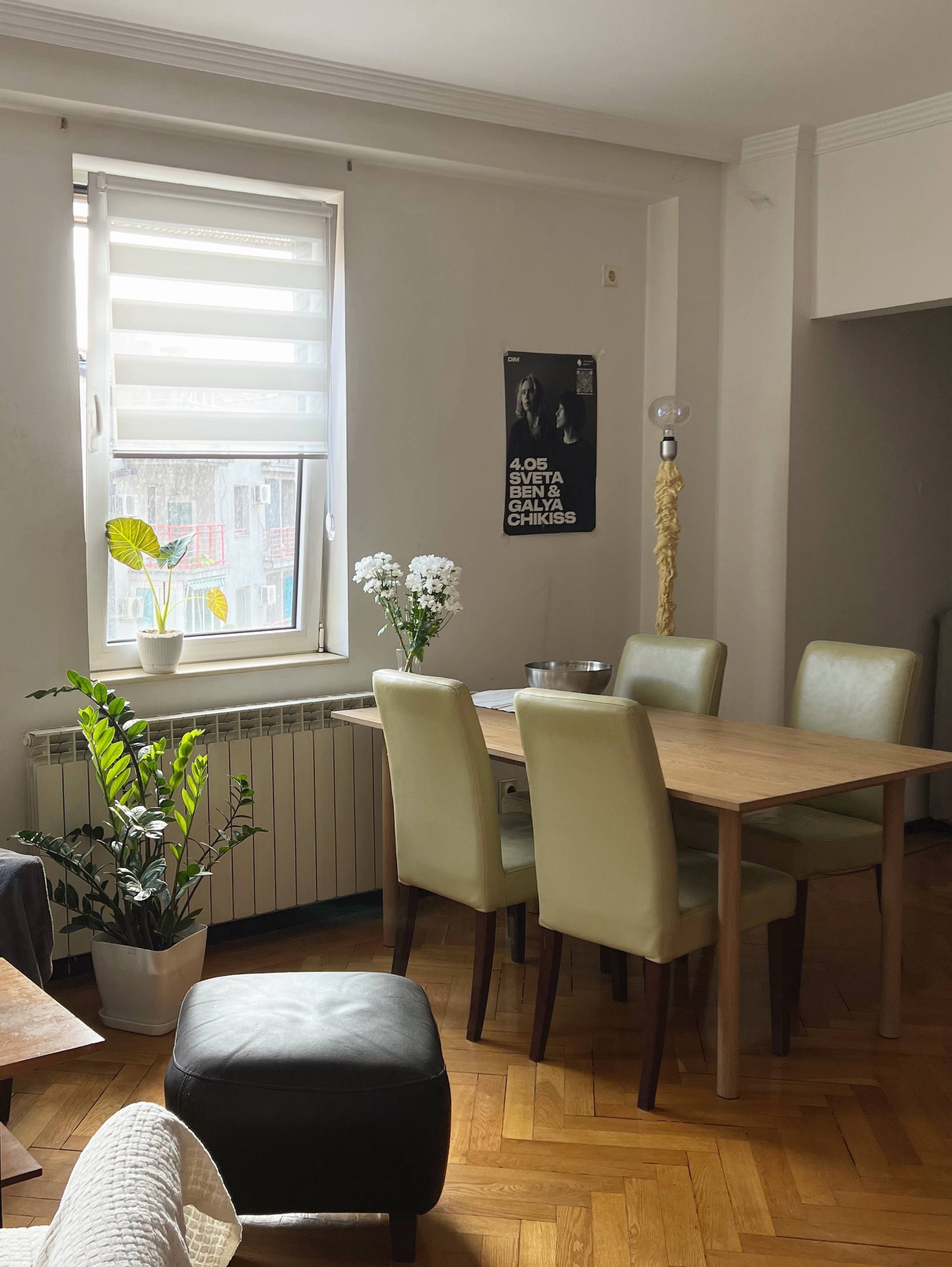 Комната в районе Врачар 5