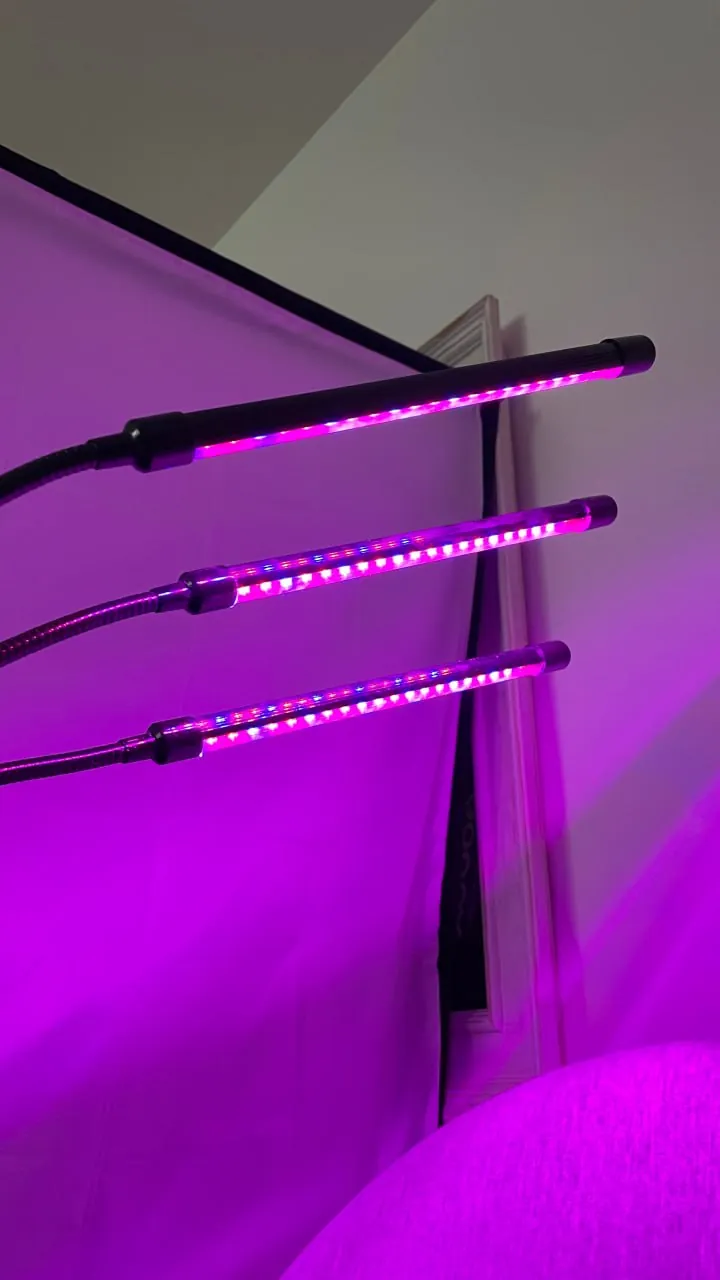 Фитолампа для растений три LED на прищепке 4