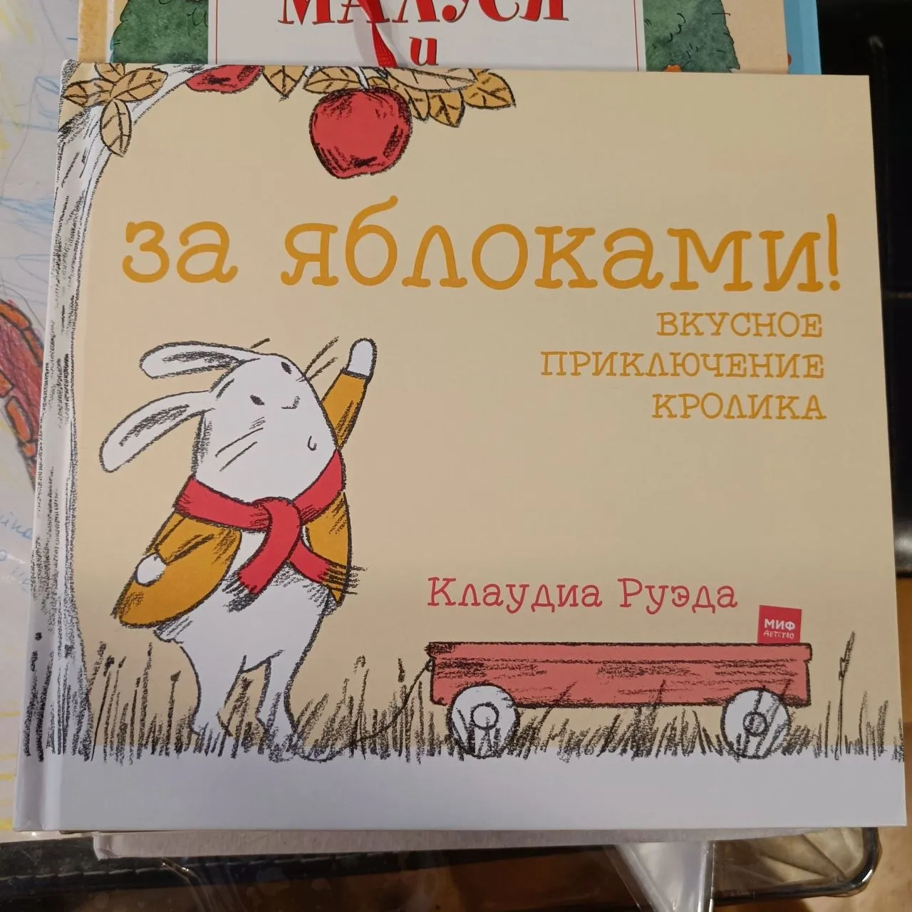 Миниатюра 6