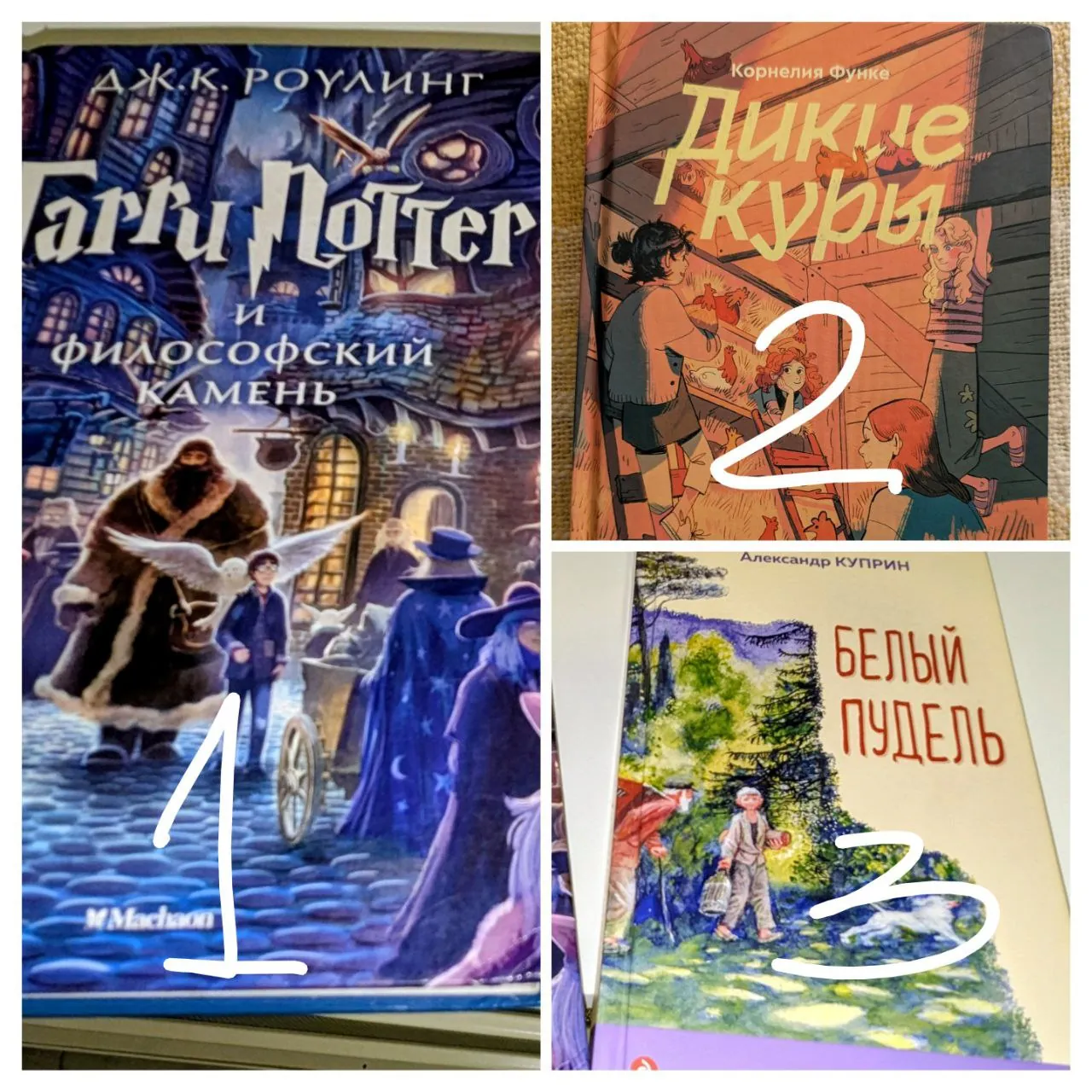 Детские книги Гарри Поттер Дикие куры Белый пудель 1