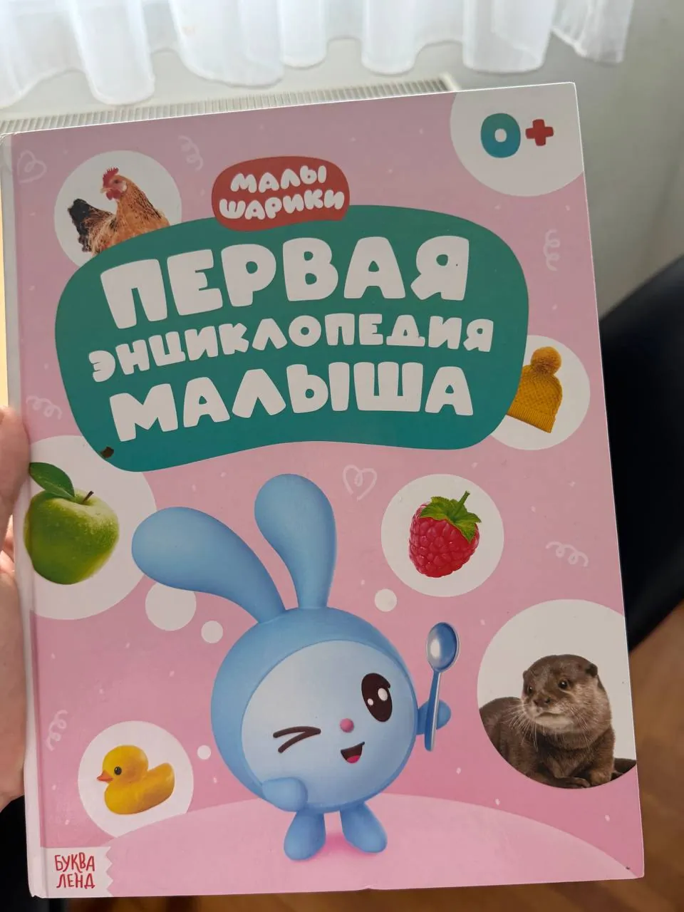 Миниатюра 1