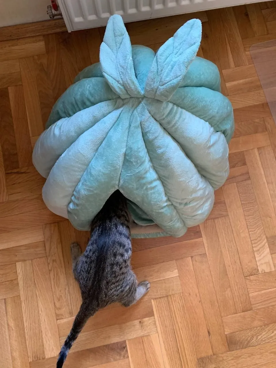 Миниатюра 2