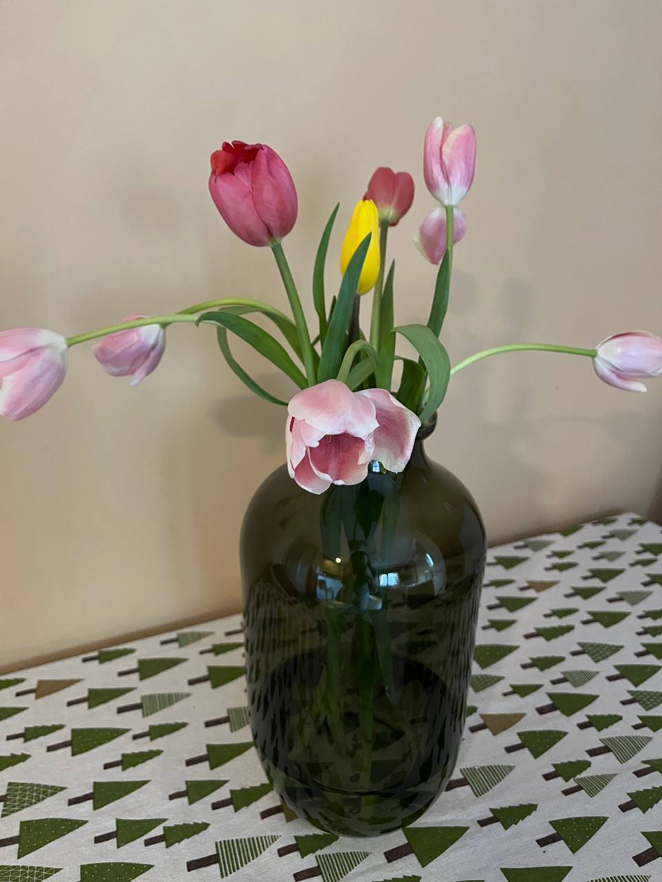 Стеклянные контейнеры и форма для запекания 5