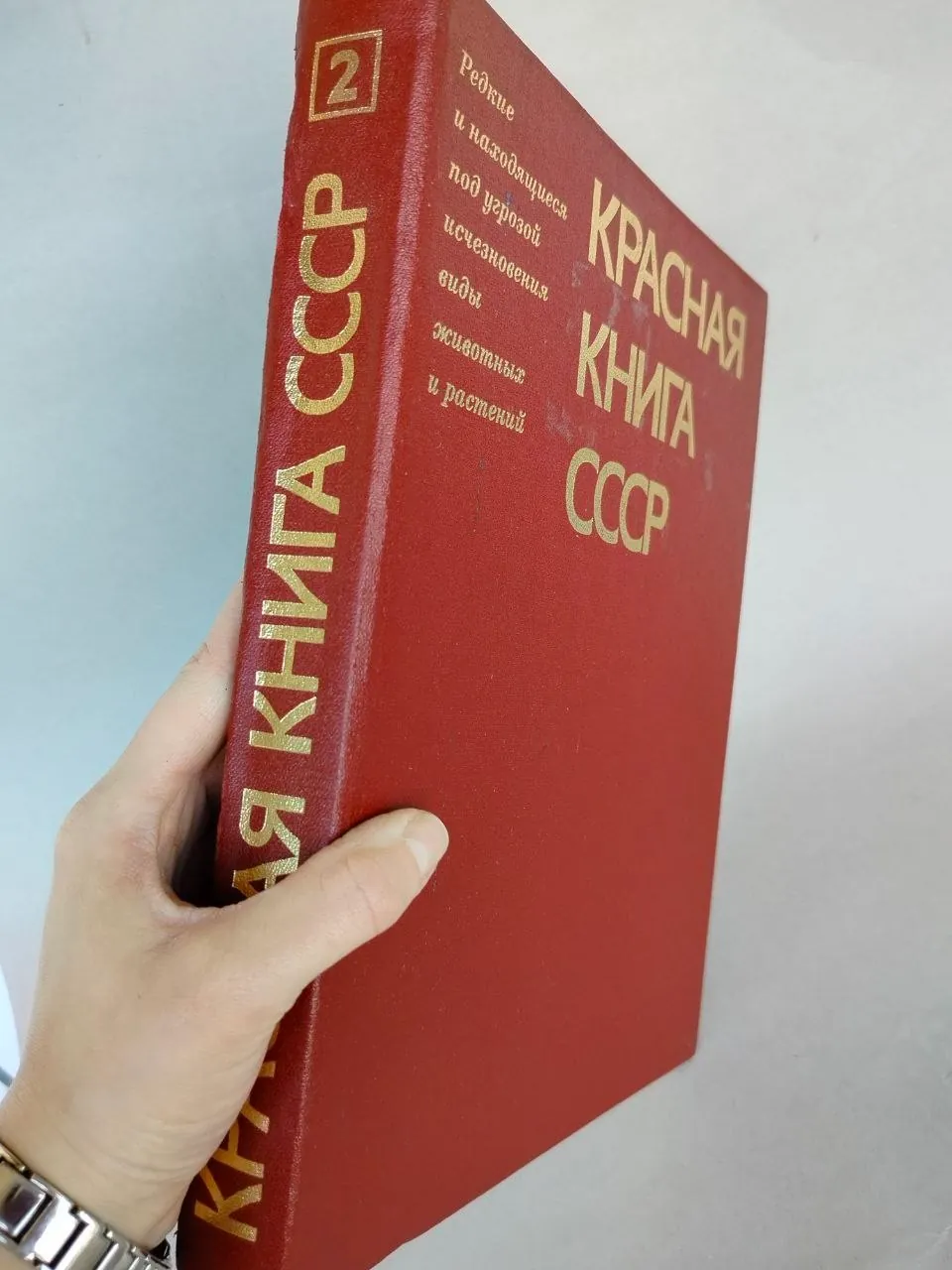 Миниатюра 3