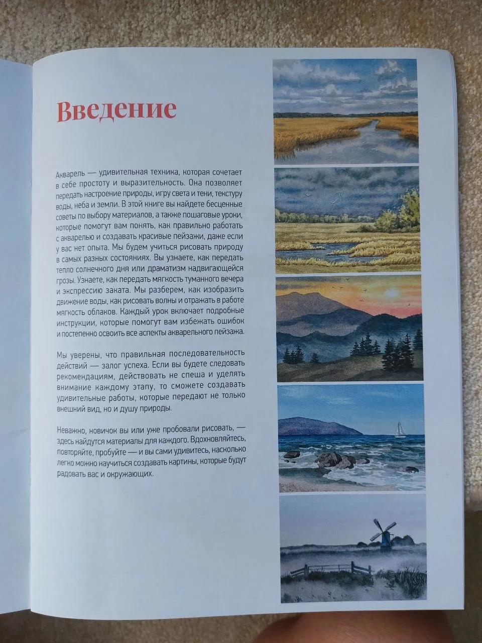 Миниатюра 2