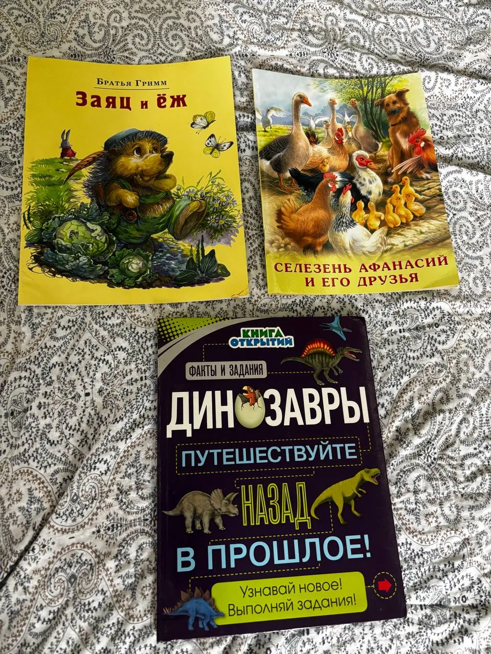 Миниатюра 4