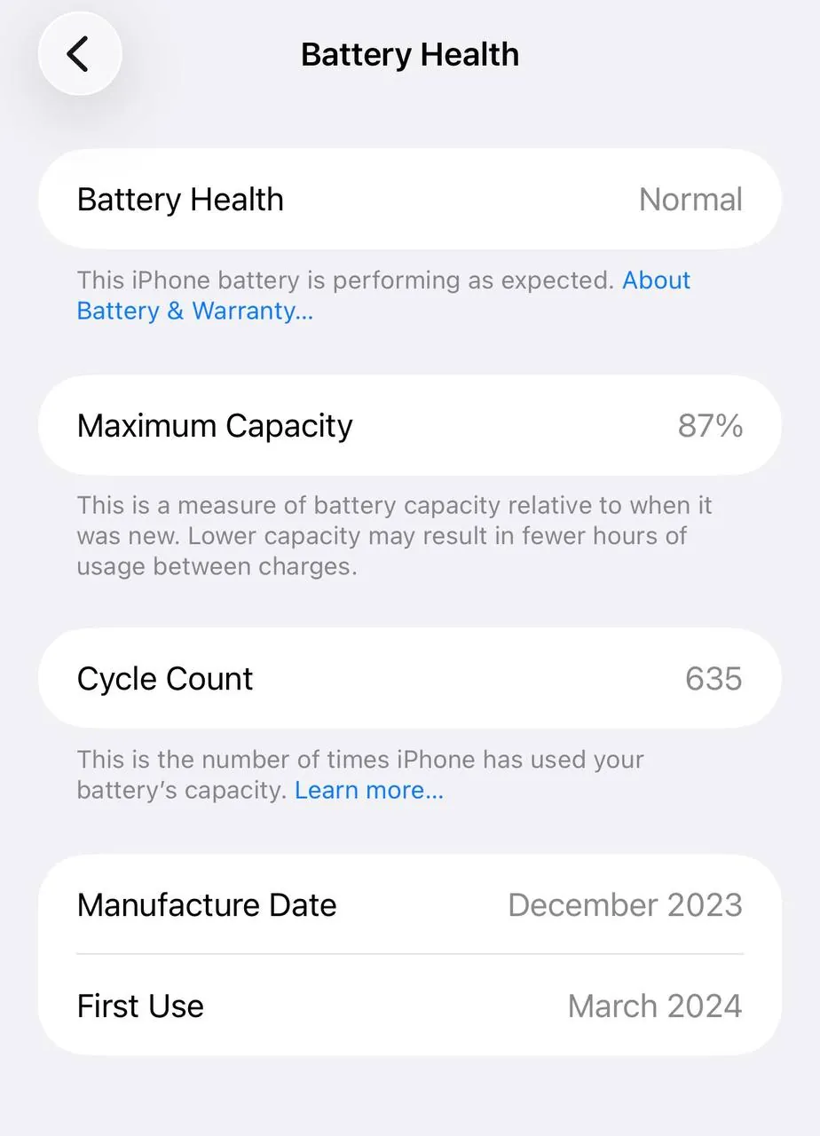 iPhone 15 Pro Max 256 ГБ 8