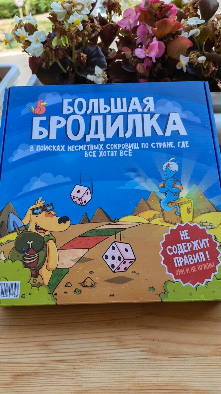 Миниатюра 5