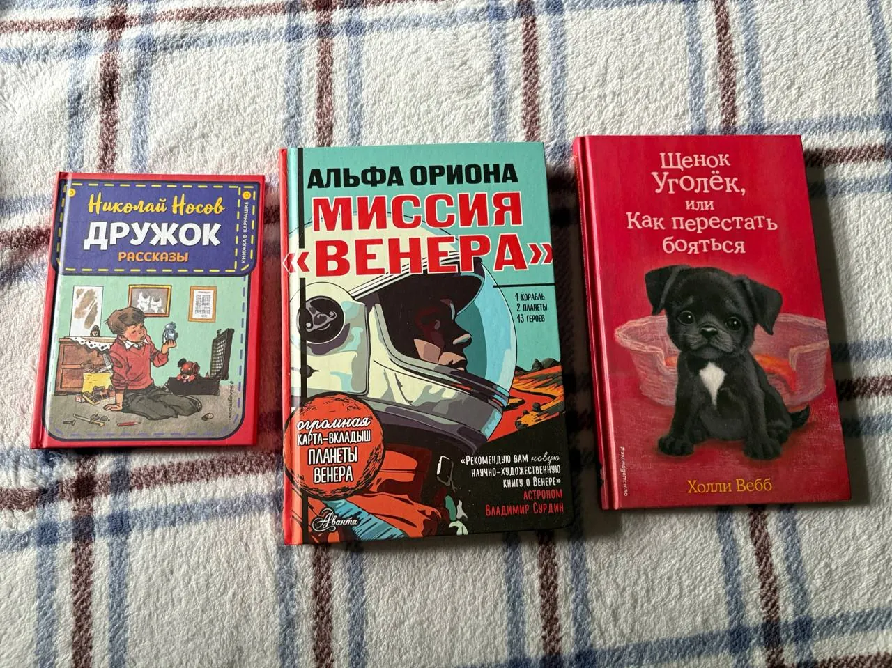 Детские книги Холли Вебб и Носов 1