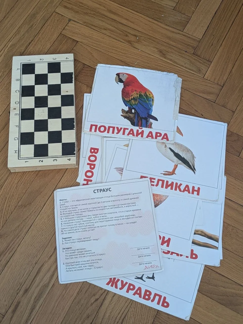 Миниатюра 2