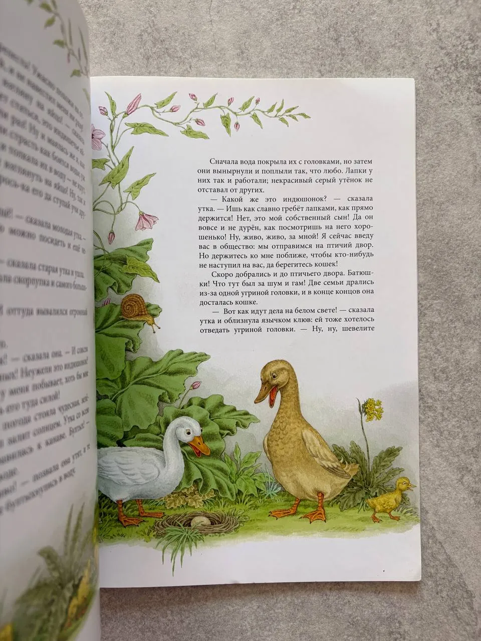 Миниатюра 2