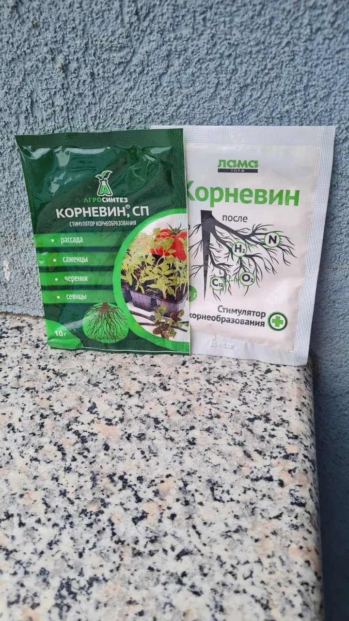 Миниатюра 6