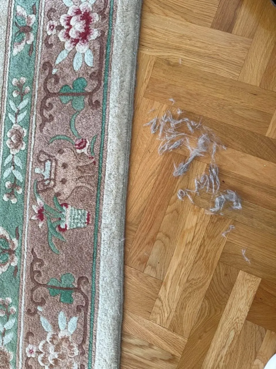Клининг и уборка квартир Белград 3