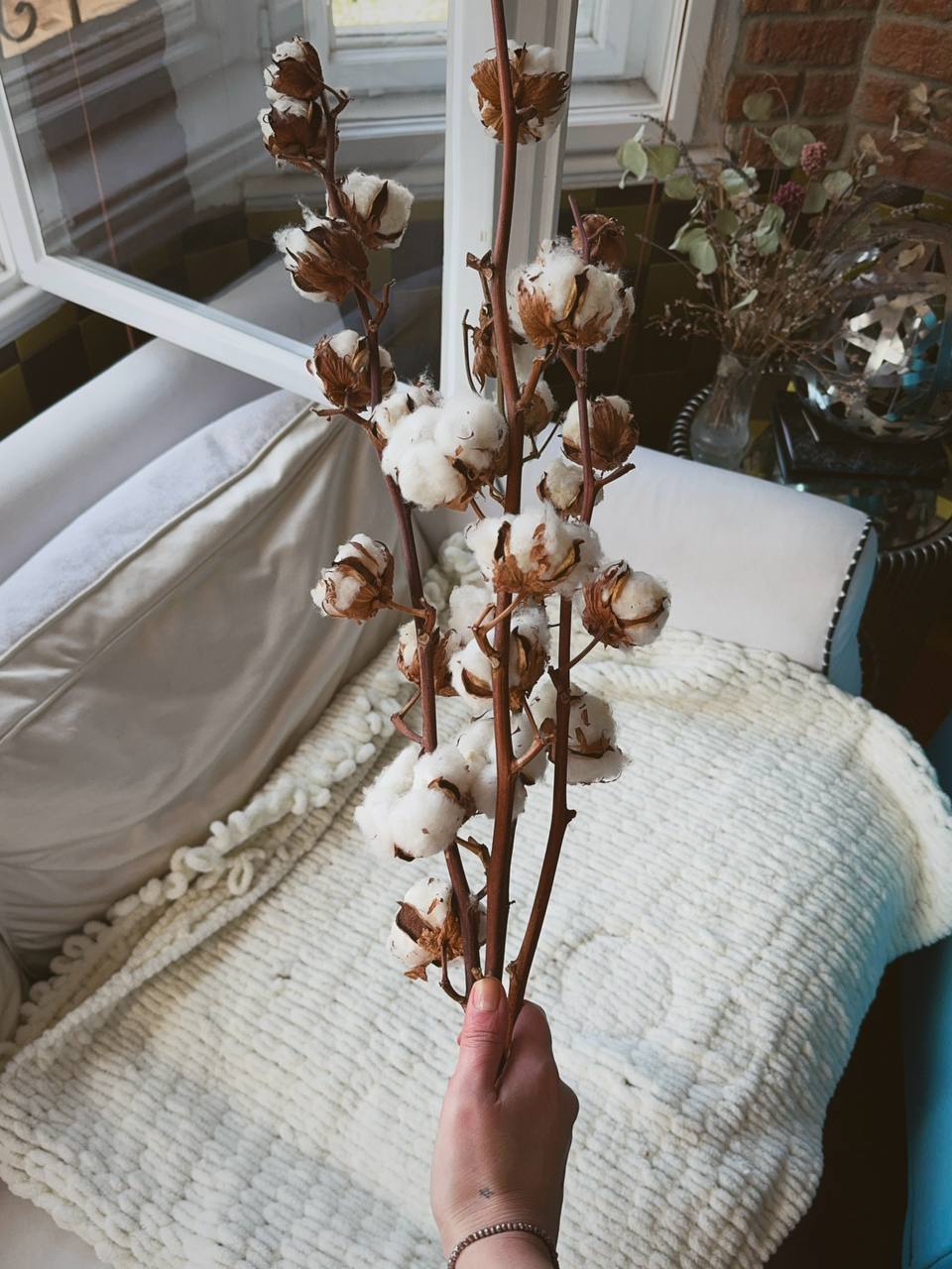Веточки хлопка 2