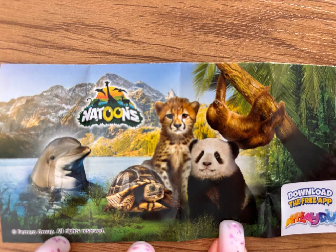 Фигурки Kinder Maxi natoons набор 2
