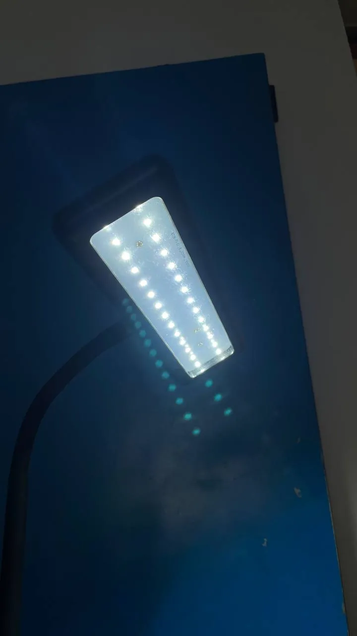 Настольная LED-лампа с режимами света 2