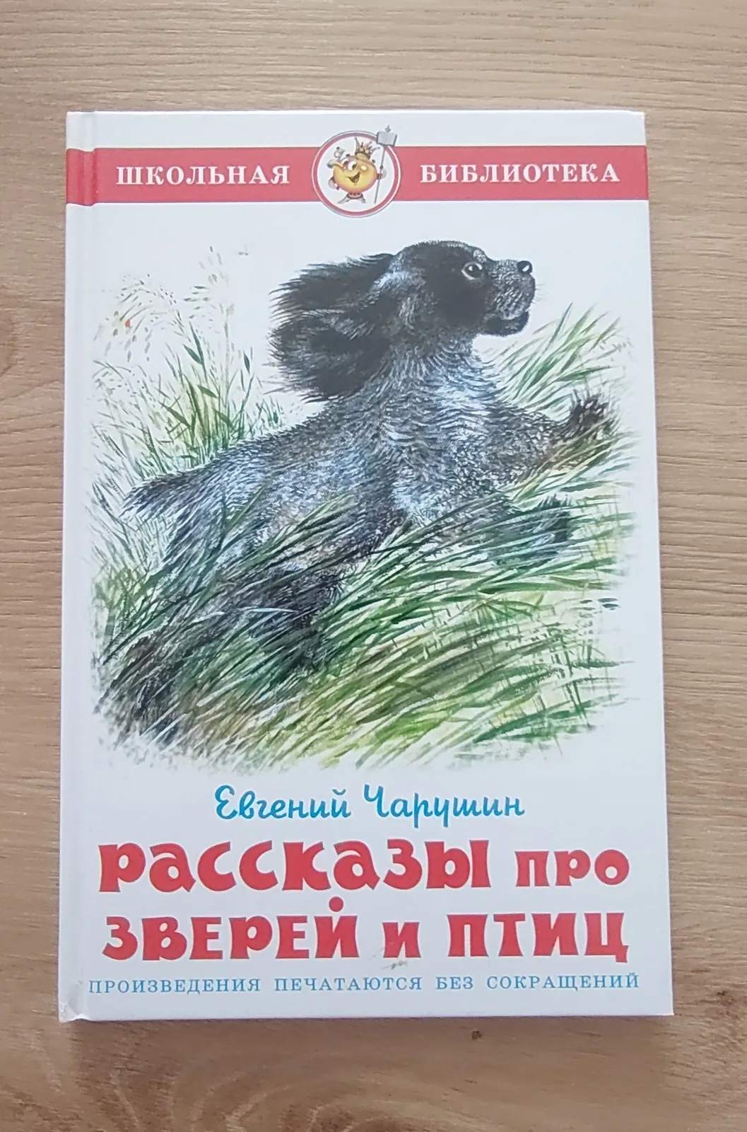 Детские книги и лектира за 4 разред 5