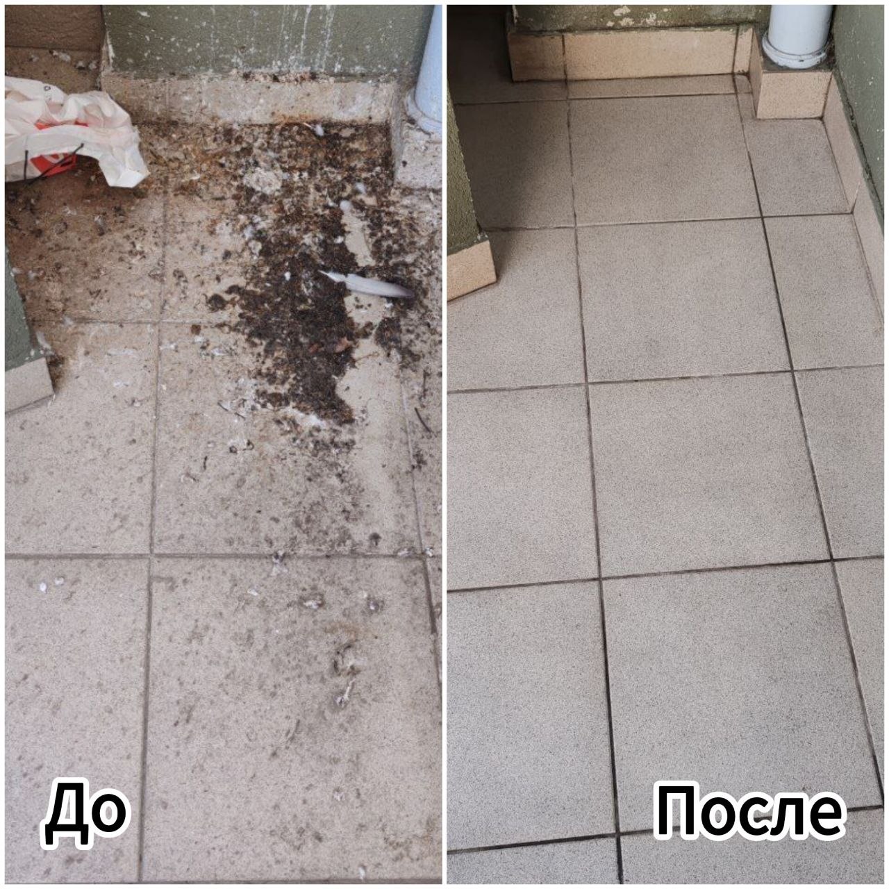 Клининг и помощь по дому 9