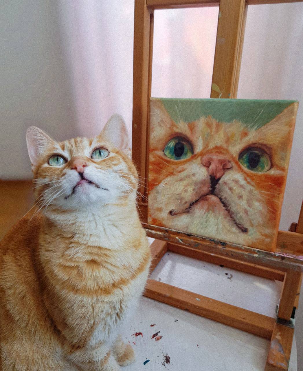 Портрет питомца 1