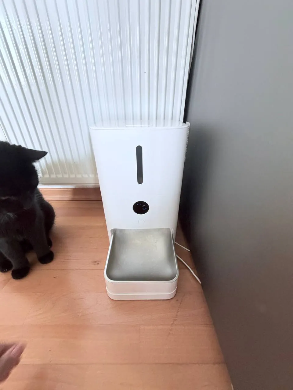 Автокормушки Xiaomi Pet Feeder для животных 2