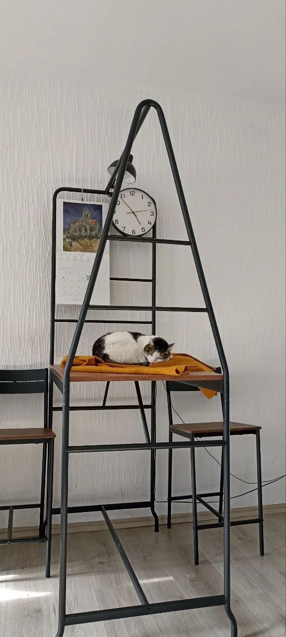 Обеденный стол и 4 стула IKEA HAVERUD / SANDSBERG 3