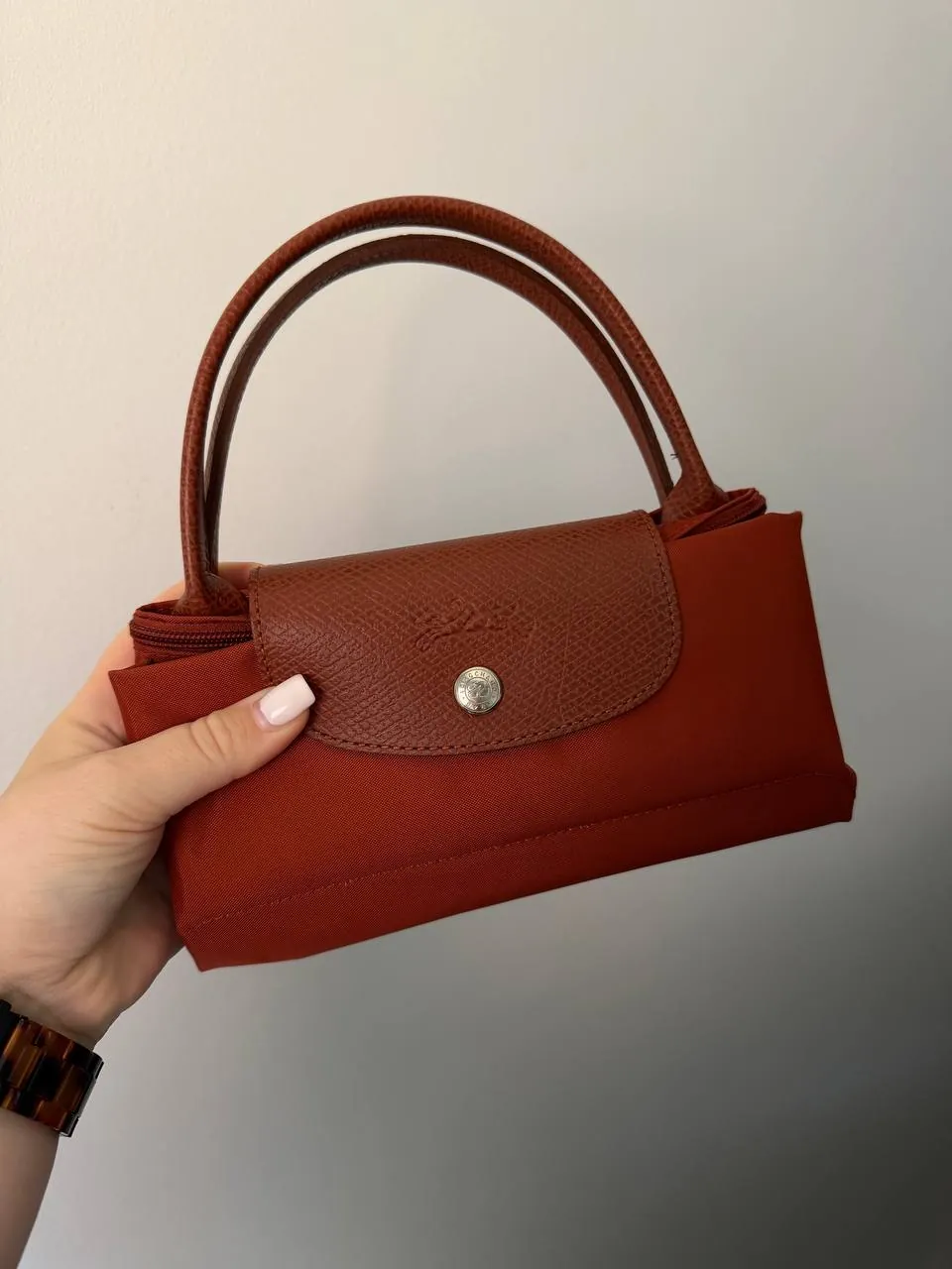 Сумка Longchamp Le Pliage размер S 1