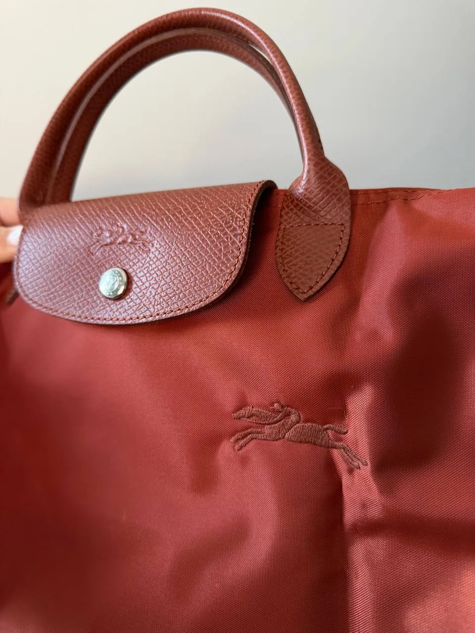 Сумка Longchamp Le Pliage размер S 3