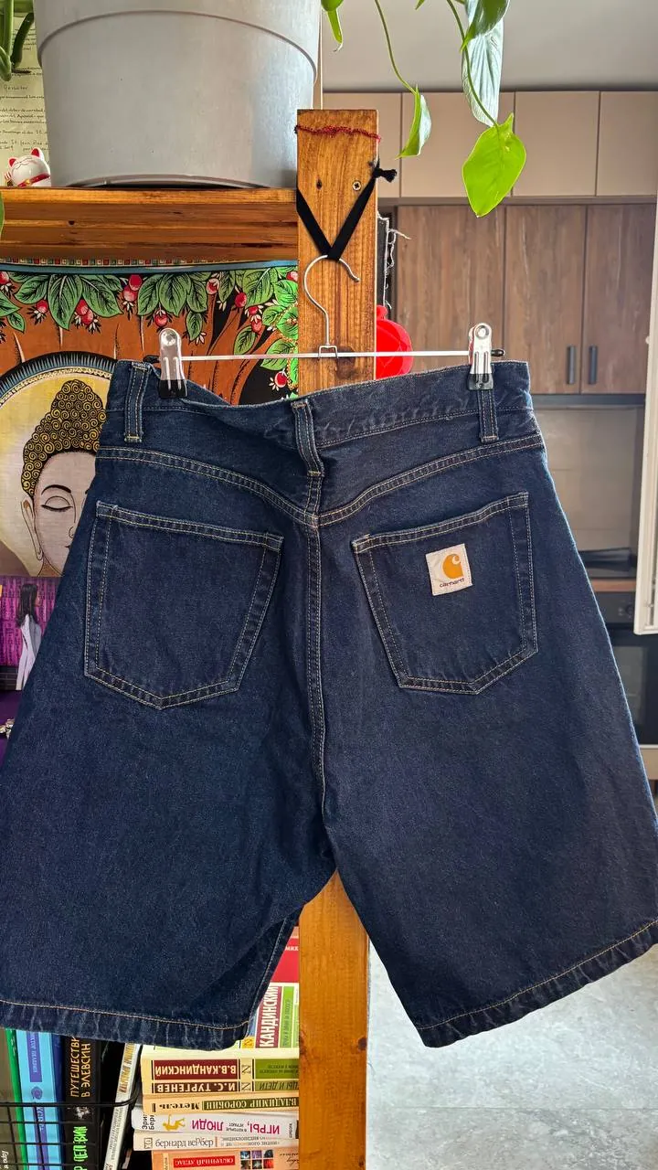 Мужская одежда лот жилетки шорты Carhartt Zara 6