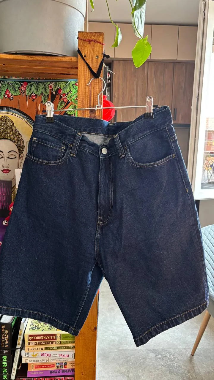 Мужская одежда лот жилетки шорты Carhartt Zara 5