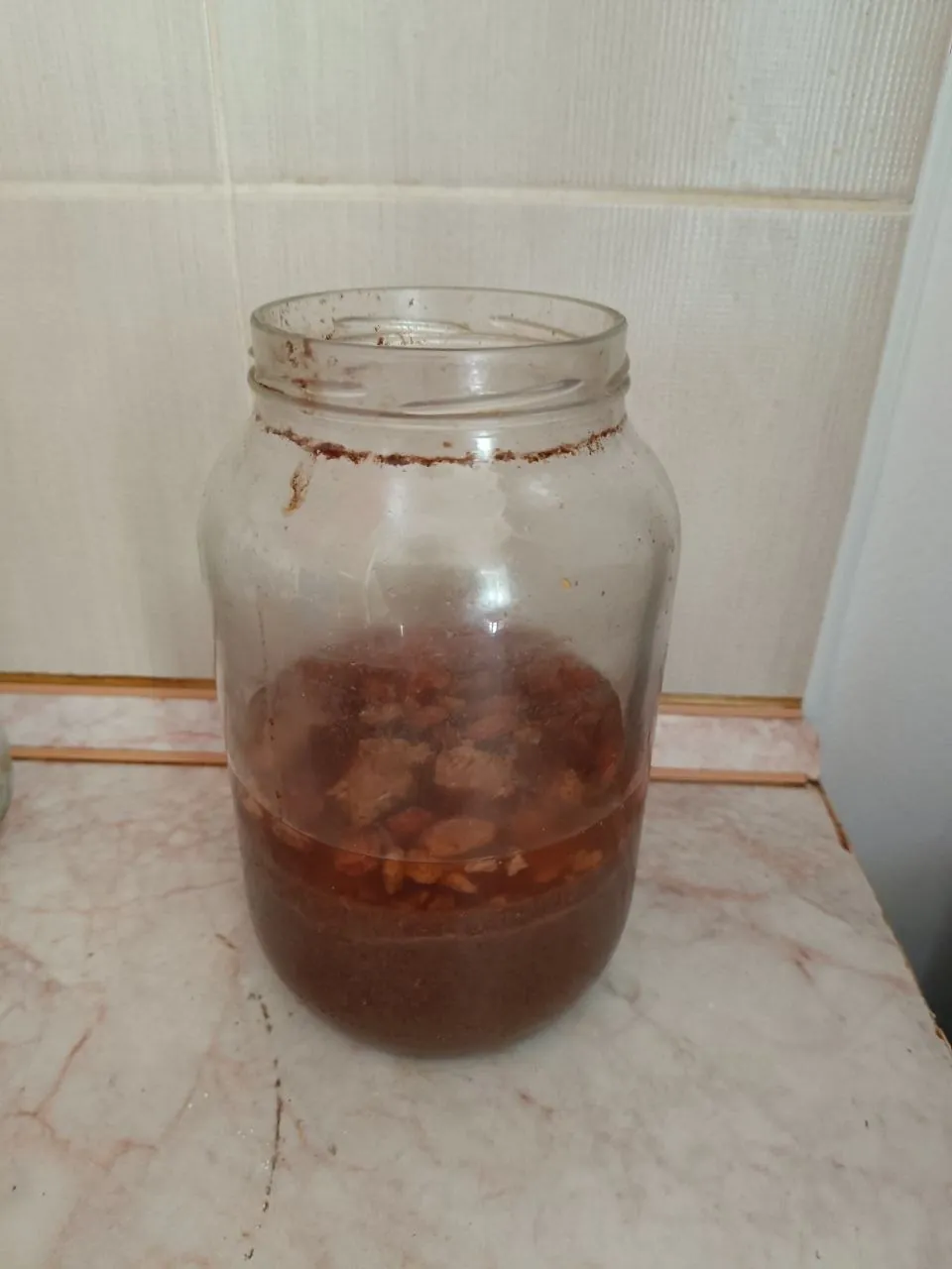 Закваска для домашнего кваса бесплатно 1