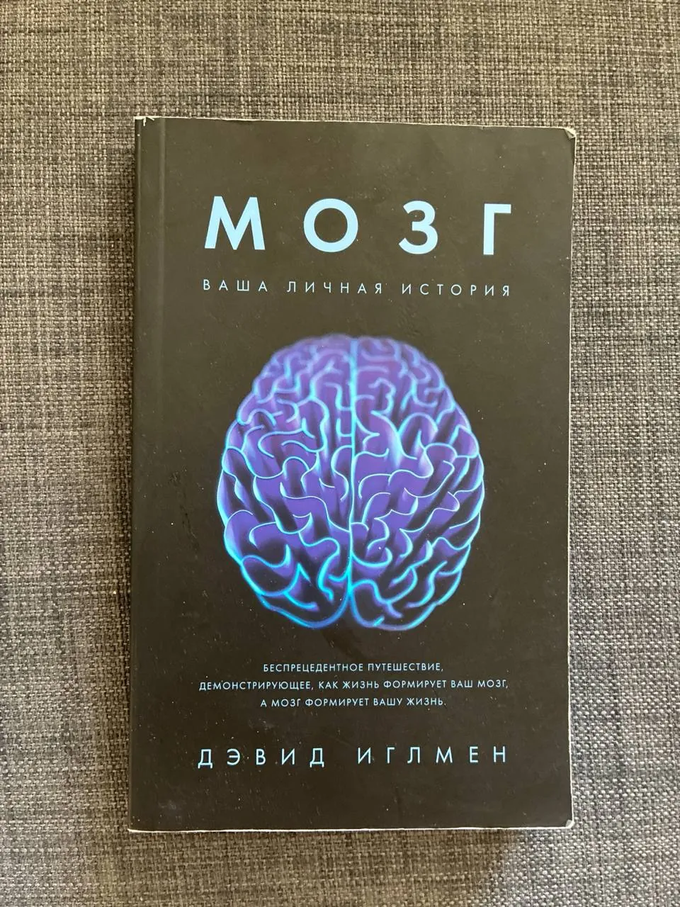 Книга Дэвид Иглмэн Мозг 1