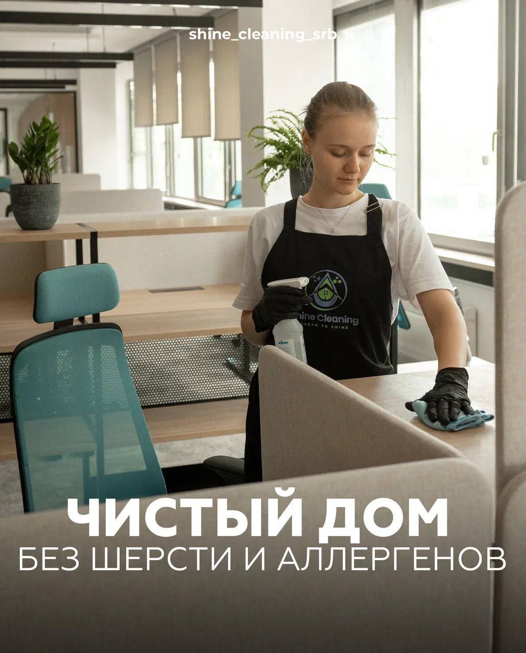 Услуги клининга 7