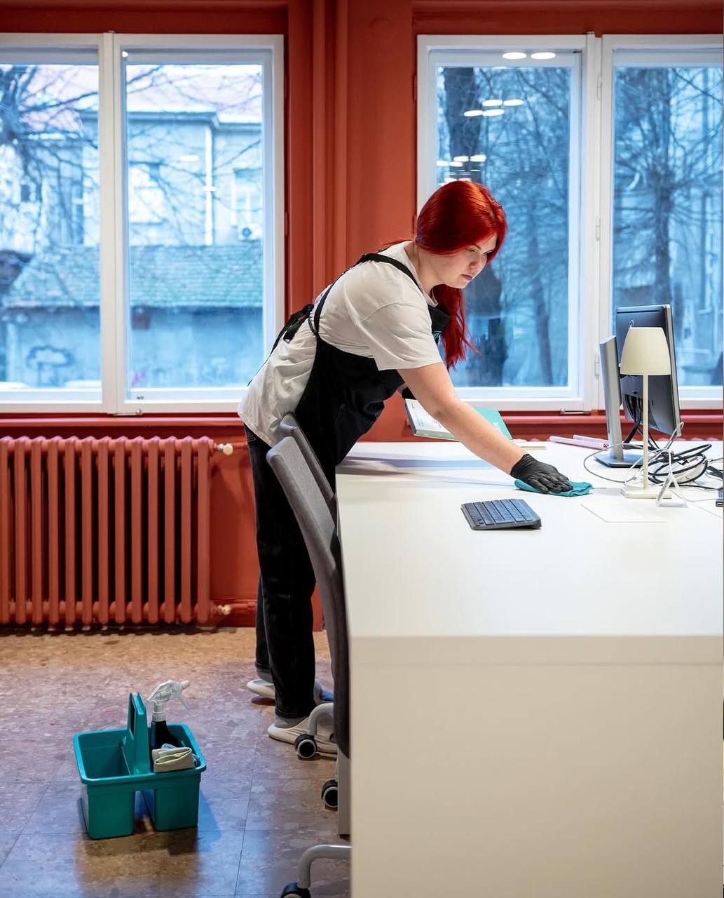 Услуги клининга 2