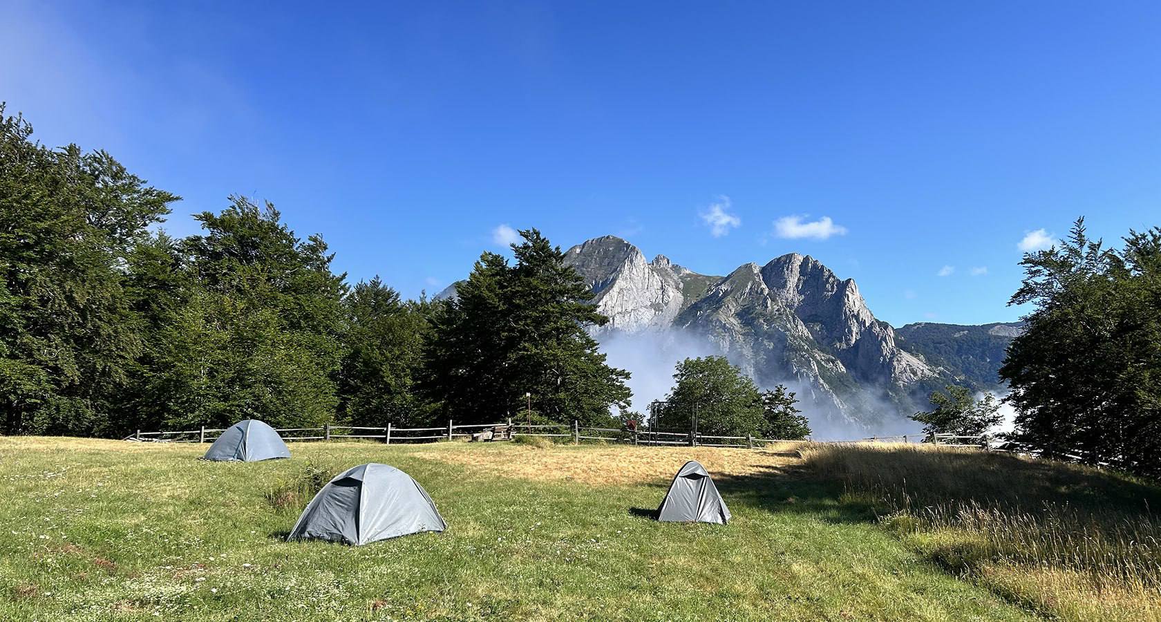 Прокат палаток 1