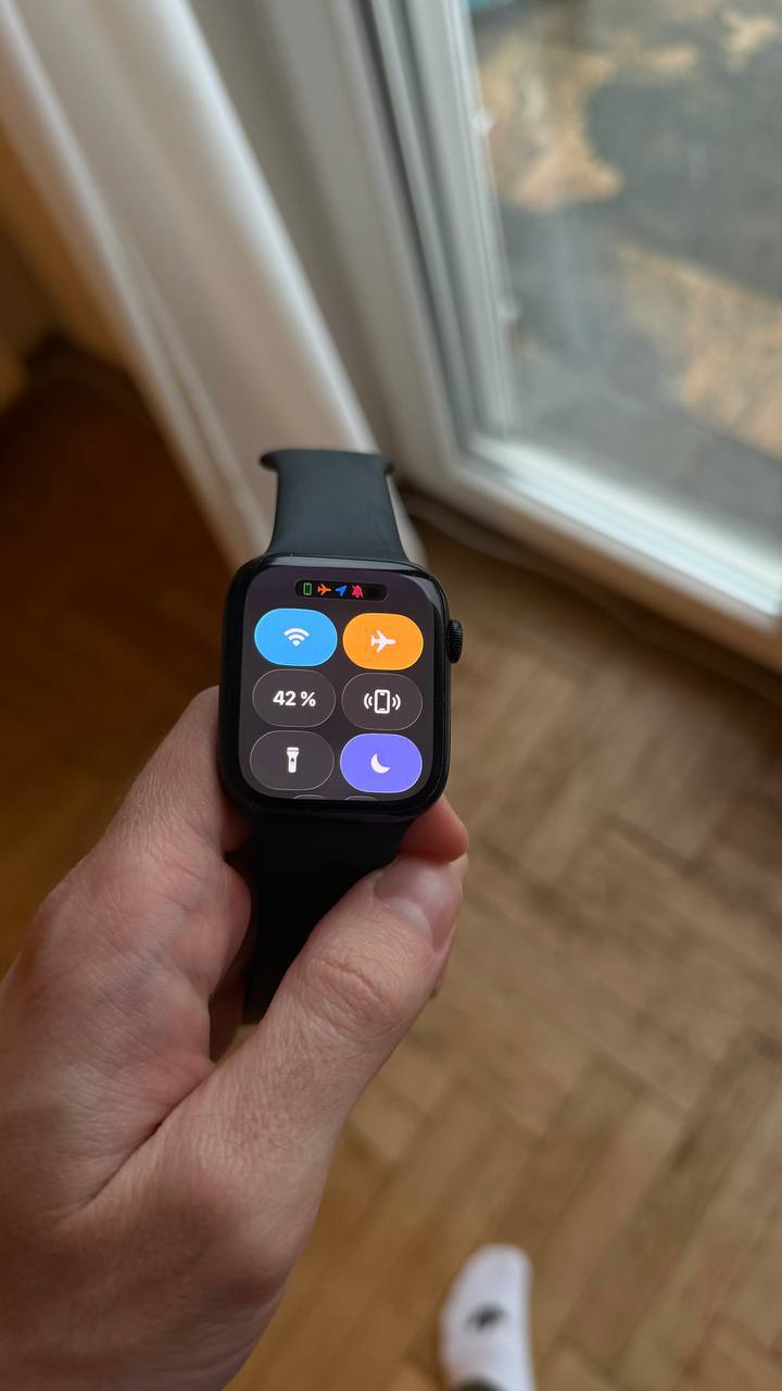 Apple Watch Series 9 45 мм 1