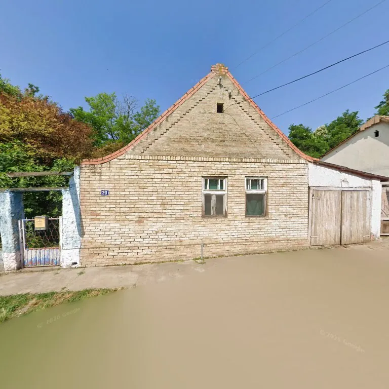 Дом на продажу Бачка Топола с гаражом 1