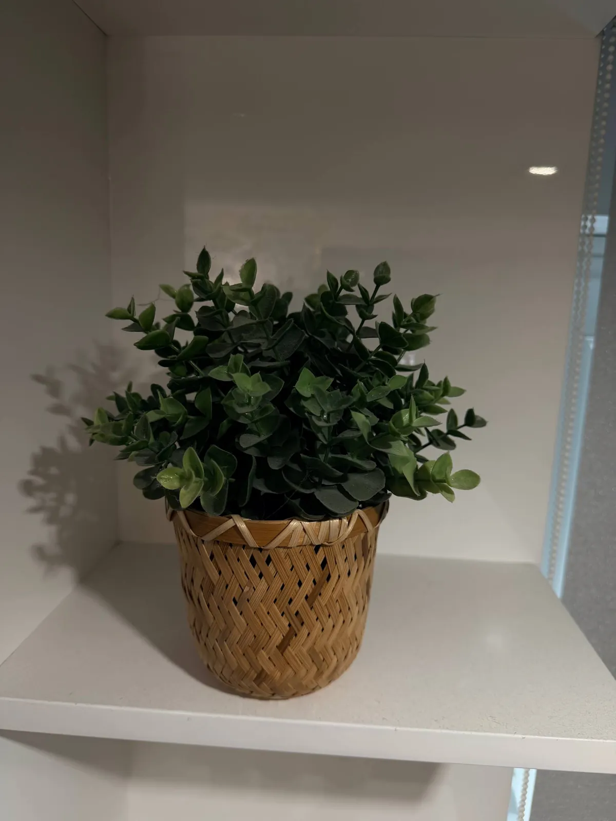 Ковер IKEA VINDEBÄK 160×300 см плюс декор Нови Белград 6