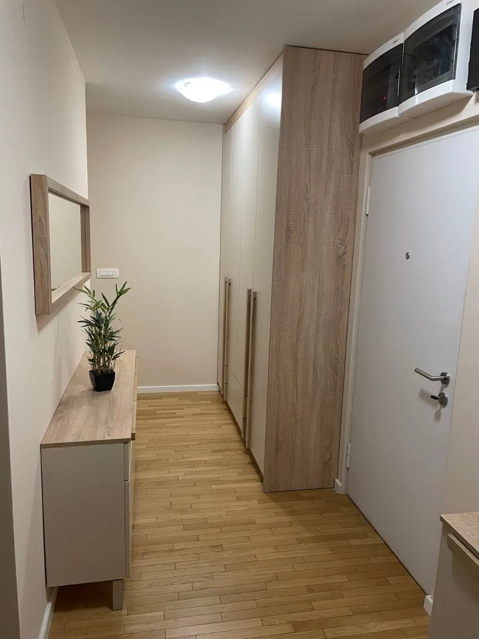 Квартира 3к 65м² Земун аренда 900 EUR 10