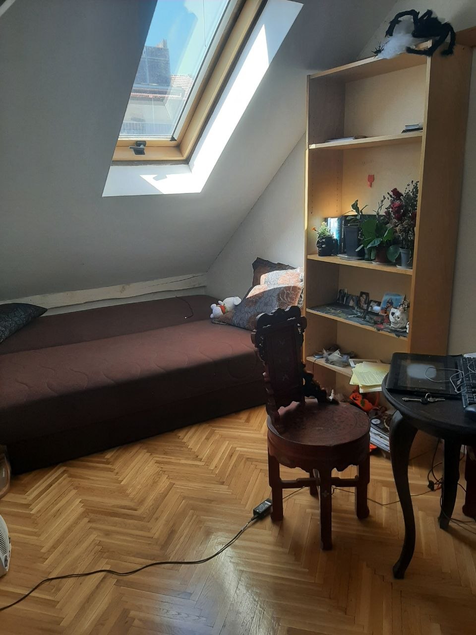 Комната в центре Белграда посуточно 1
