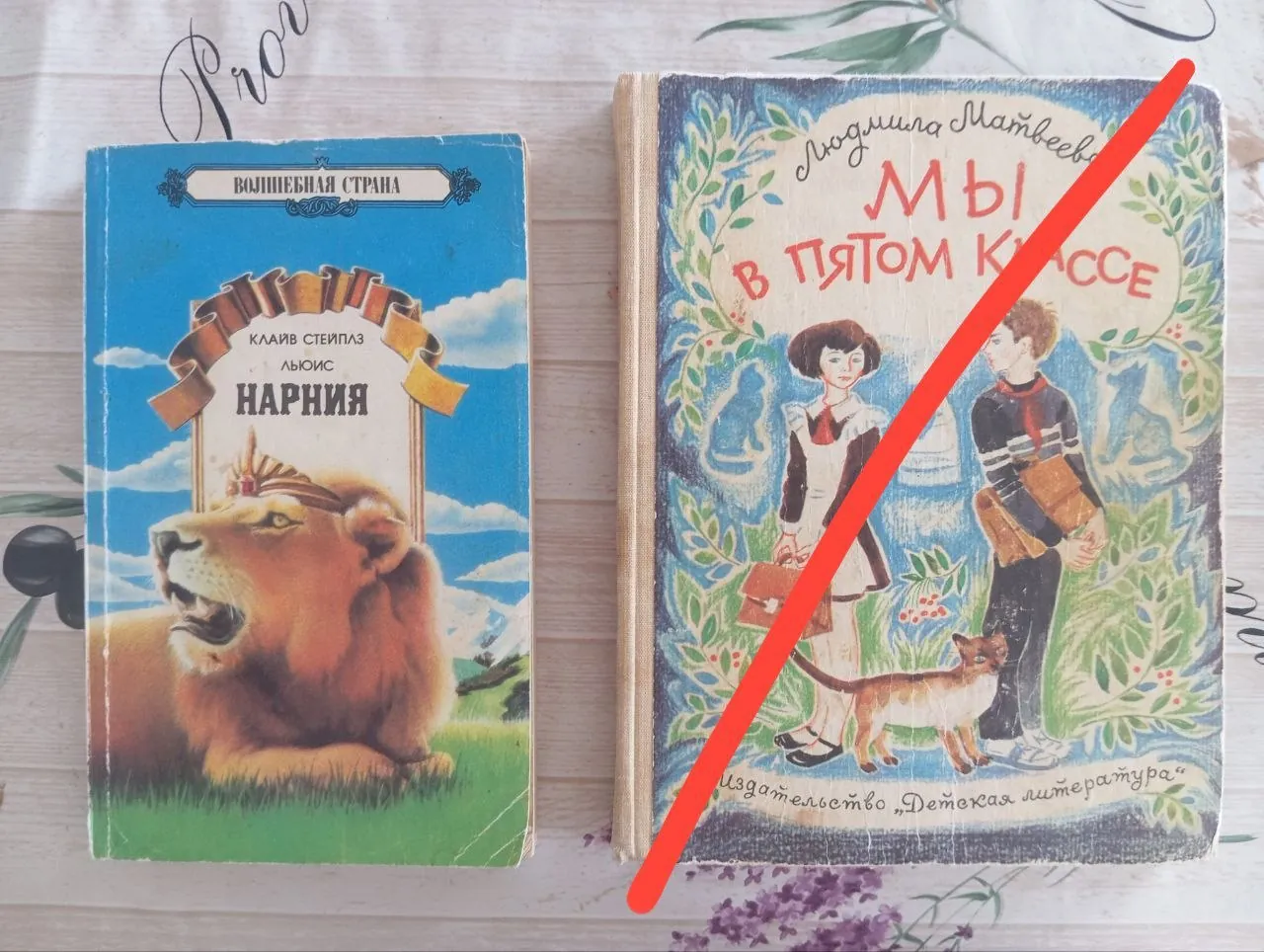 Детские книги Чучело Нарния Прописи и другие Нови-Сад 8