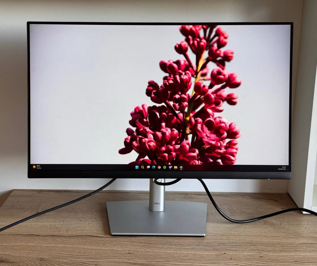 Монитор Dell P2423DE 23,8 дюйма QHD 1