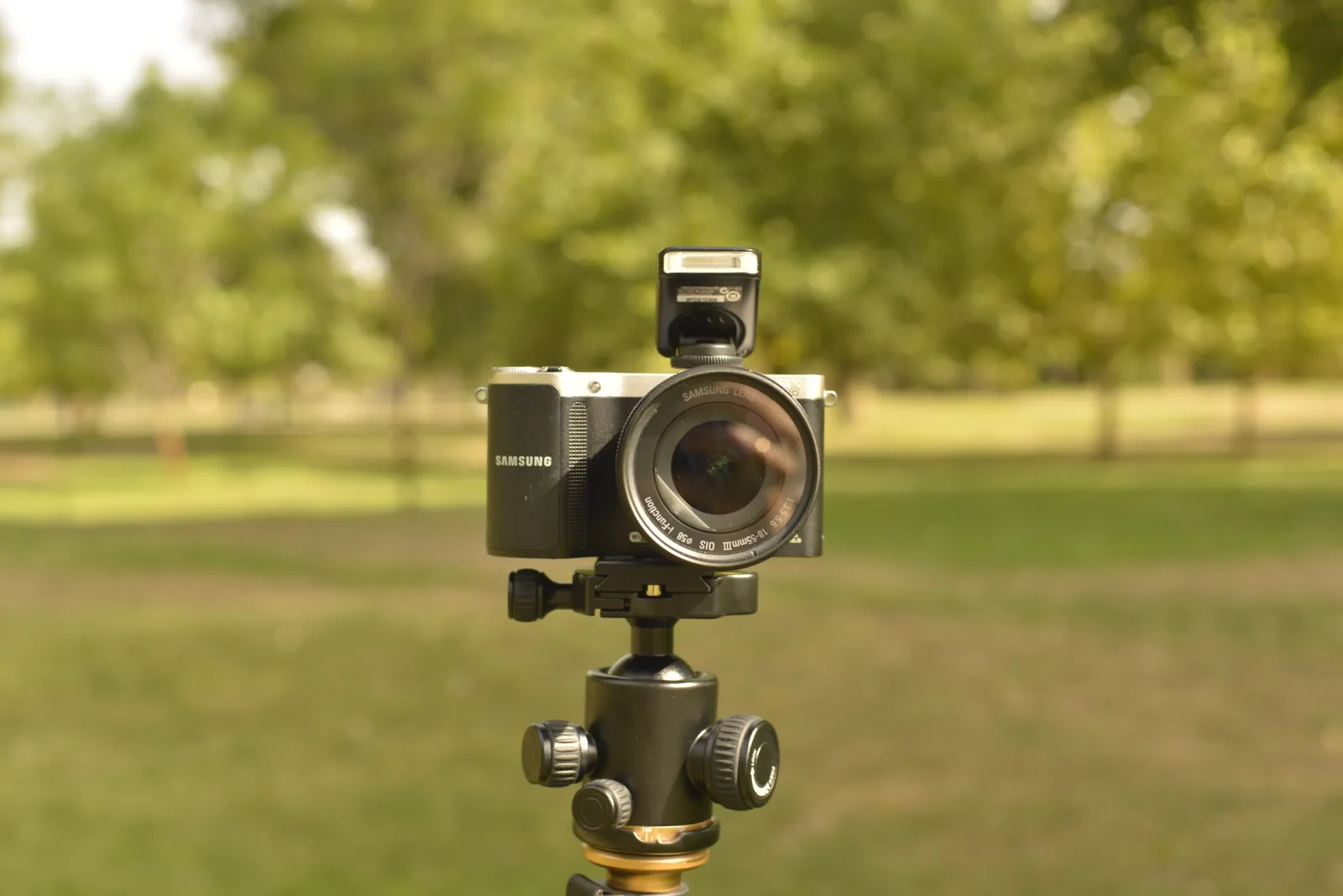 Плёночные фотоаппараты Canon Minolta Нови-Сад 4