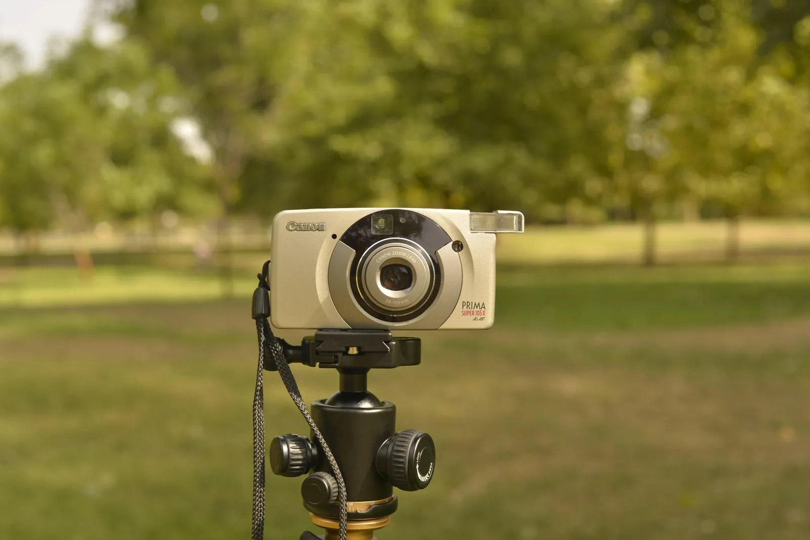 Плёночные фотоаппараты Canon Minolta Нови-Сад 2