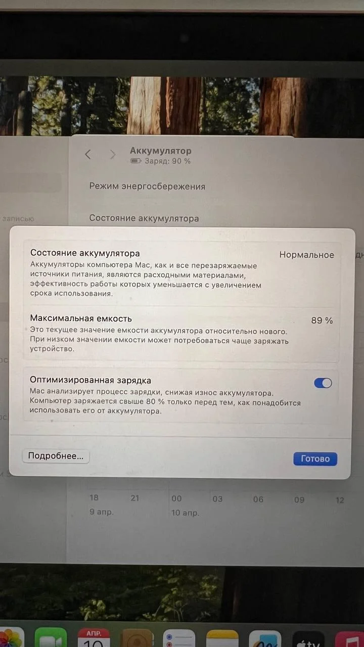 Миниатюра 4