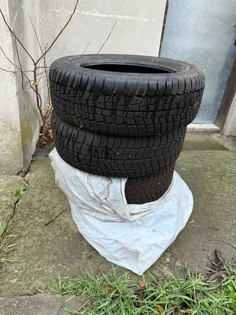 Зимняя резина Barum Polaris 5 205/55 R16 1