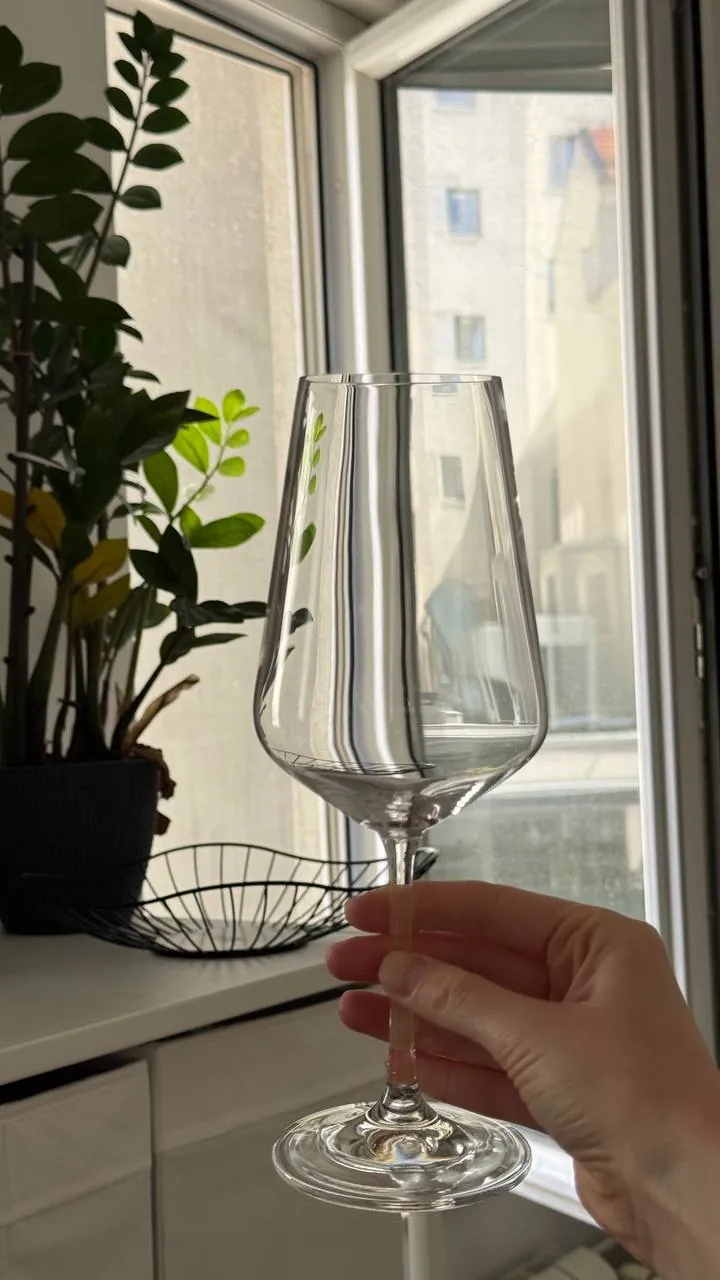 Бокалы Zara Home на тонкой ножке набор Врачар 1